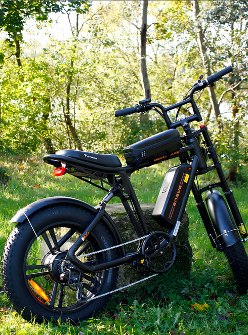 ENGWE M20 1000W (pico) 28 MPH Bicicleta eléctrica de largo alcance con suspensión dual